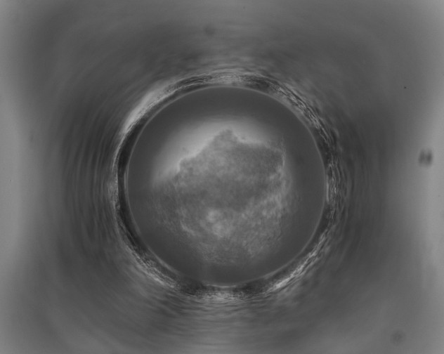 X0000091480198200708161425
