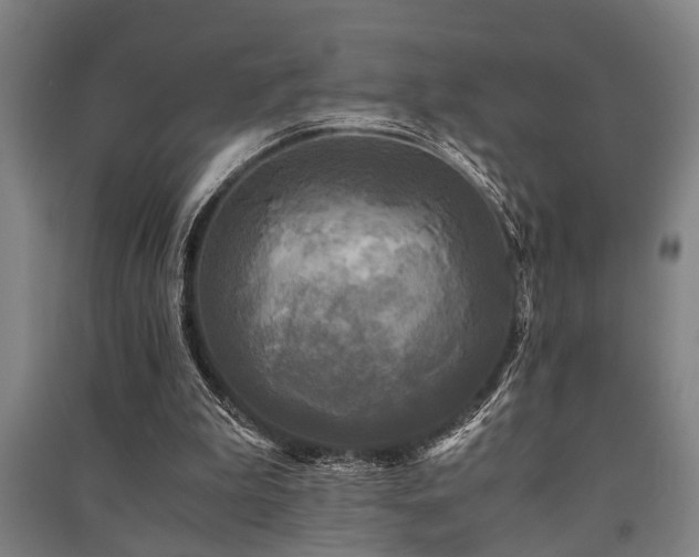 X0000091480199200708161425