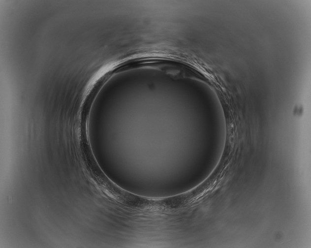 X0000091480200200708161425