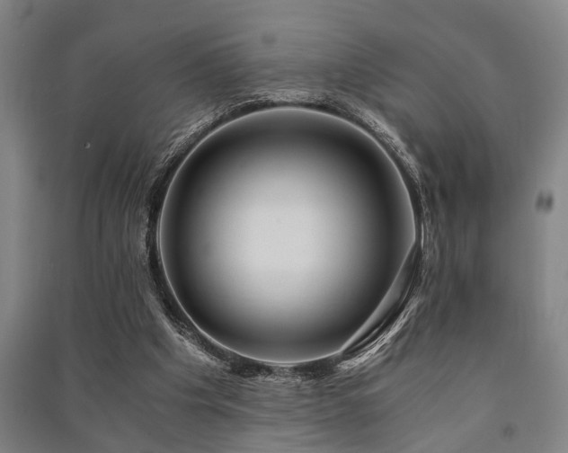X0000091480201200708161425