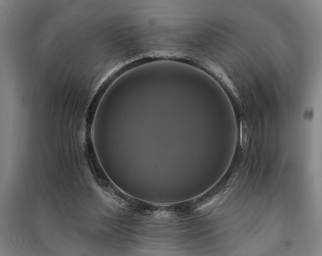 X0000091480204200708161425