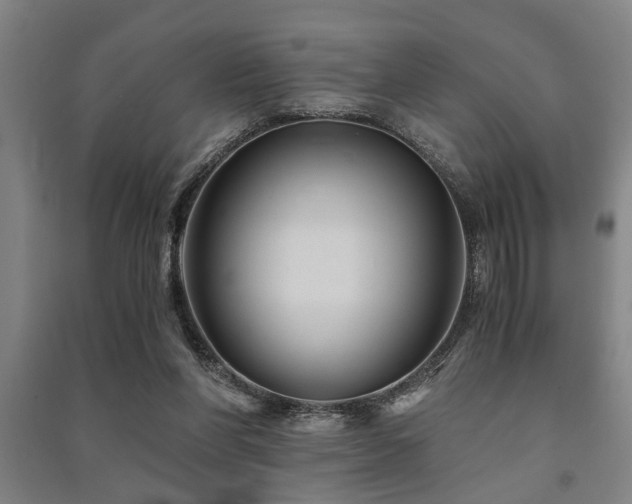 X0000091480206200708161425