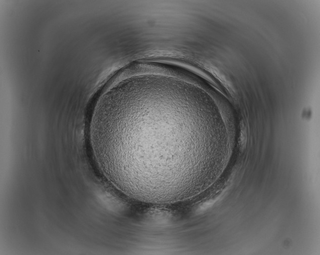 X0000091480207200708161425