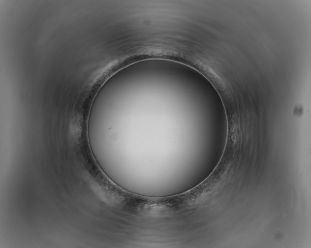 X0000091480208200708161425