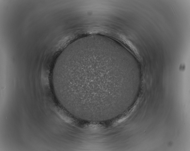 X0000091480209200708161425