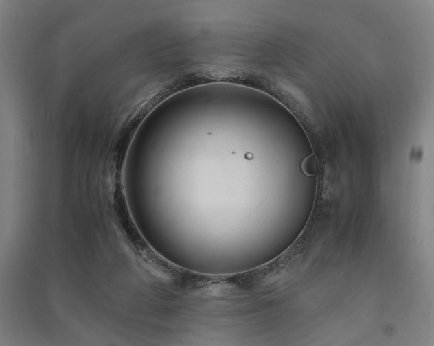 X0000091480210200708161425