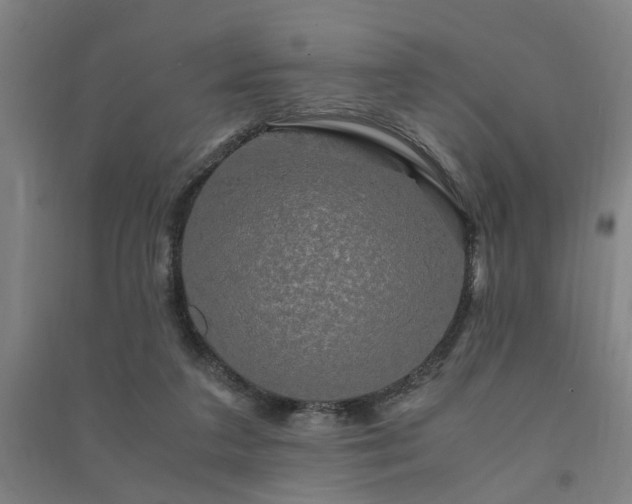 X0000091480211200708161425