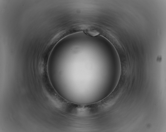 X0000091480216200708161425