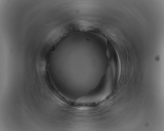X0000091480219200708161425