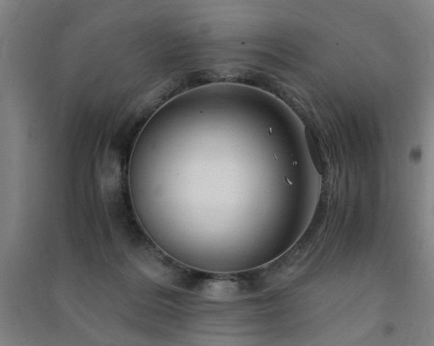 X0000091480220200708161425