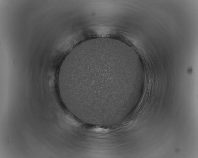 X0000091480221200708161425