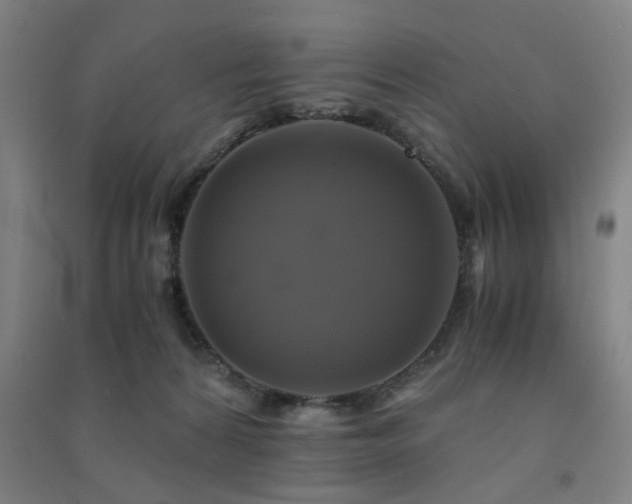 X0000091480224200708161425