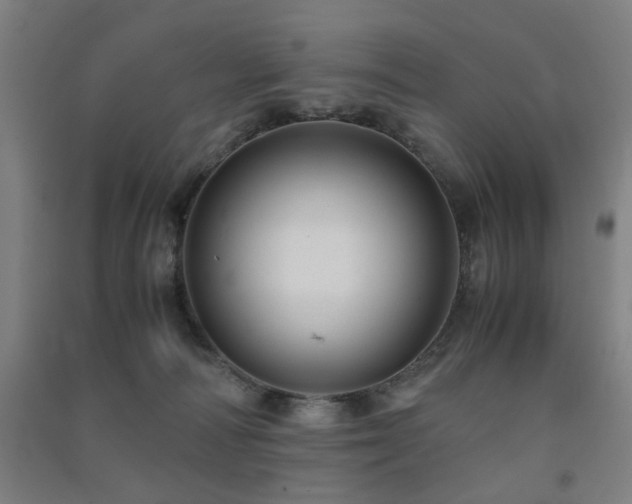 X0000091480226200708161425