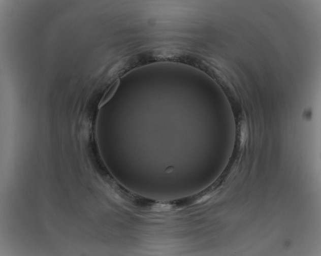 X0000091480227200708161425