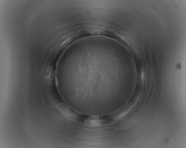 X0000091480228200708161425