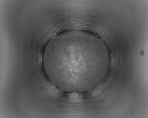 X0000091480230200708161425