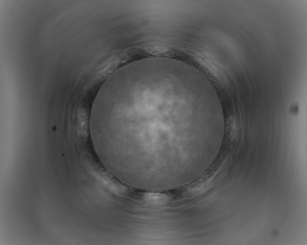 X0000091480234200708161425