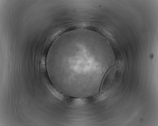 X0000091480238200708161425