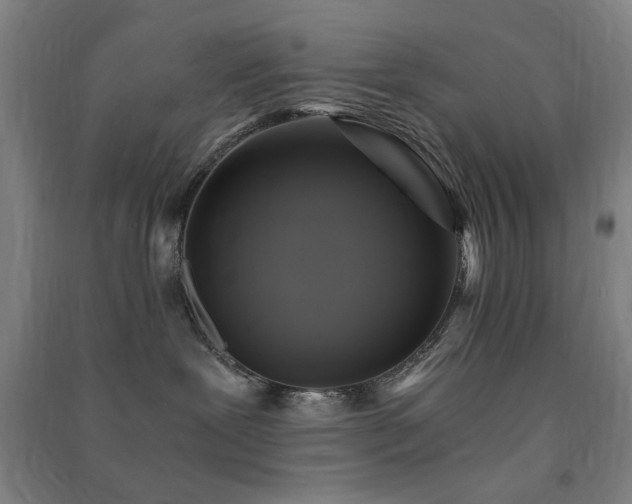 X0000091480239200708161425