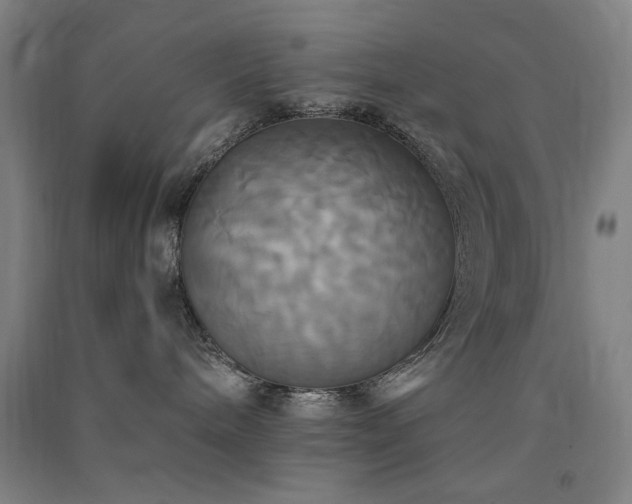 X0000091480240200708161425