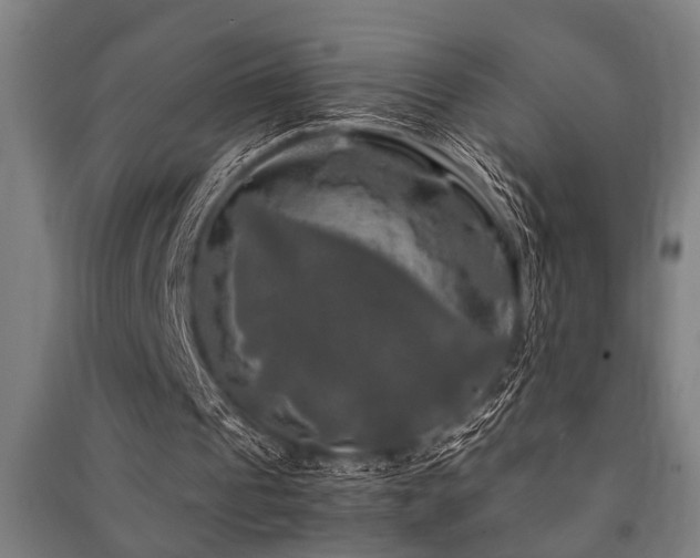 X0000091480241200708161424