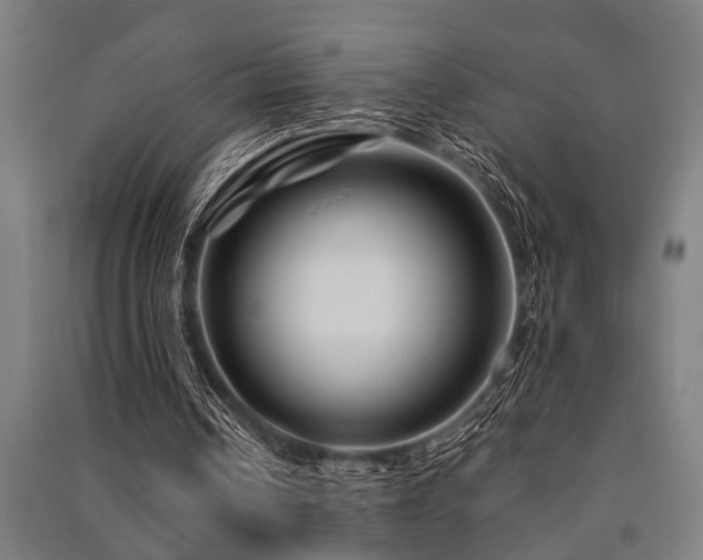 X0000091480242200708161424