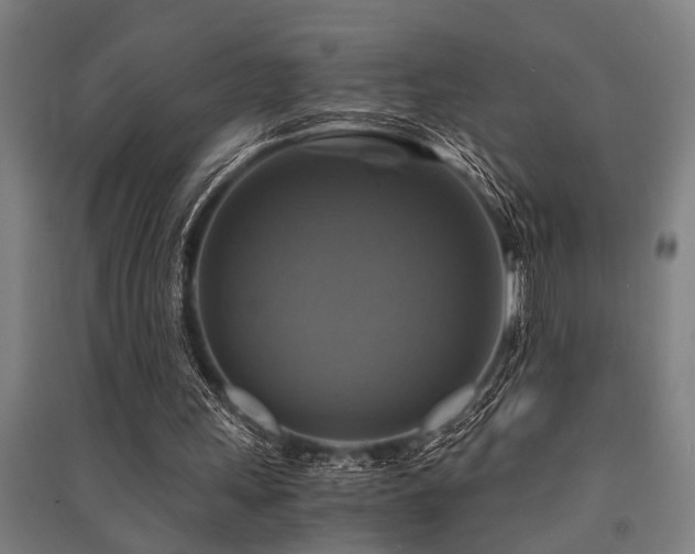 X0000091480243200708161424