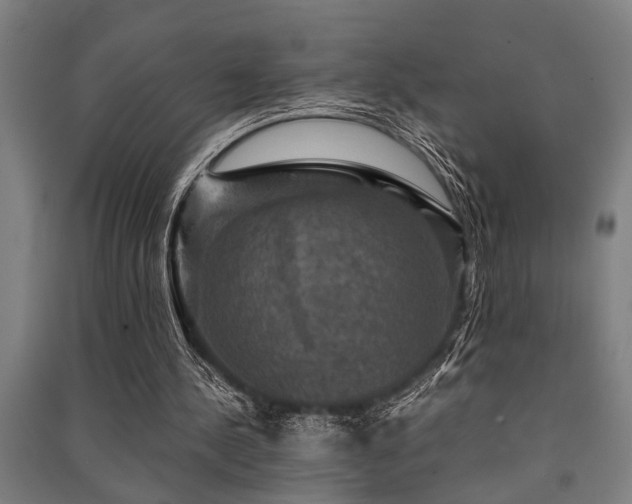 X0000091480244200708161424
