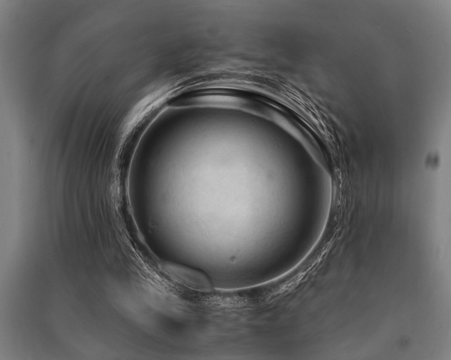 X0000091480245200708161424