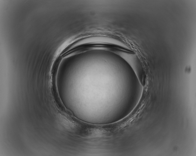 X0000091480246200708161424