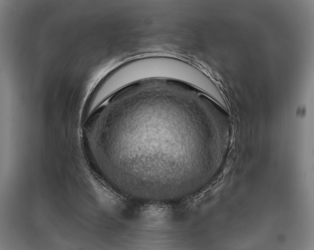 X0000091480248200708161424