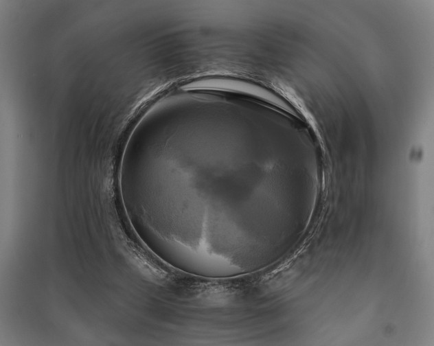 X0000091480249200708161424