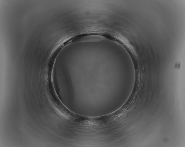 X0000091480250200708161424