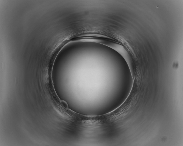 X0000091480251200708161424