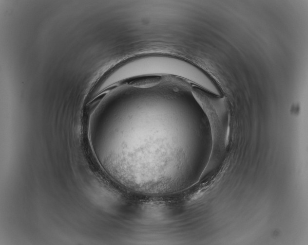 X0000091480252200708161424