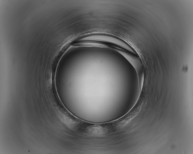 X0000091480253200708161424