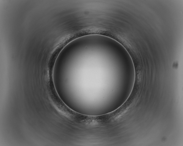 X0000091480254200708161424