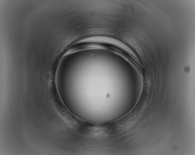 X0000091480255200708161424