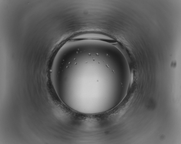 X0000091480256200708161424
