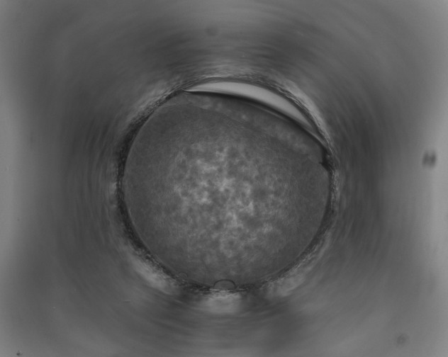 X0000091480257200708161424
