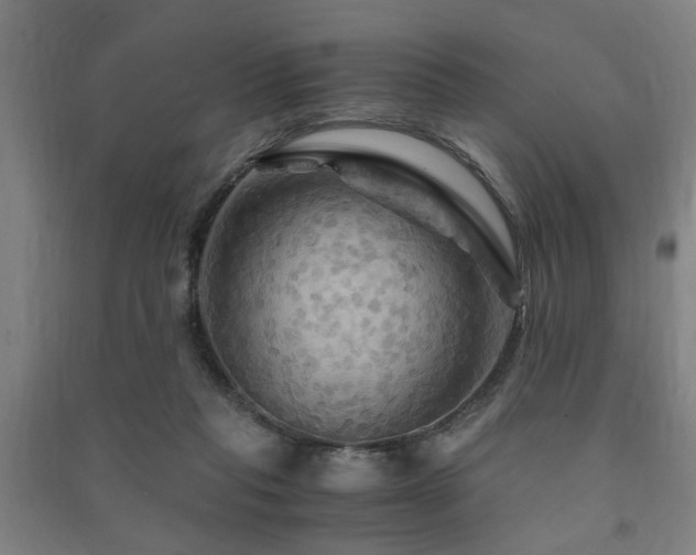 X0000091480261200708161424