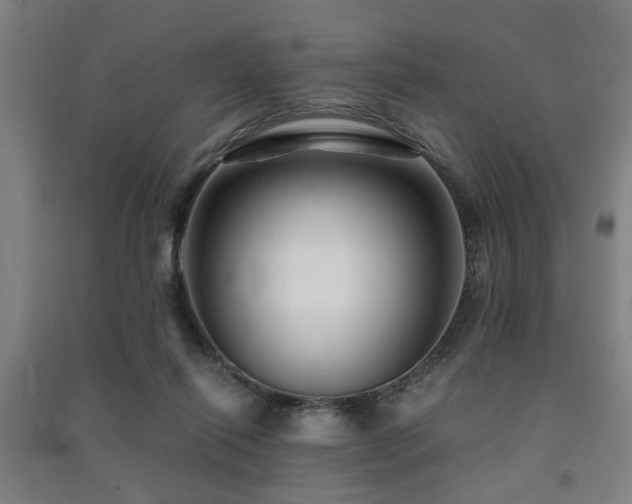 X0000091480262200708161424