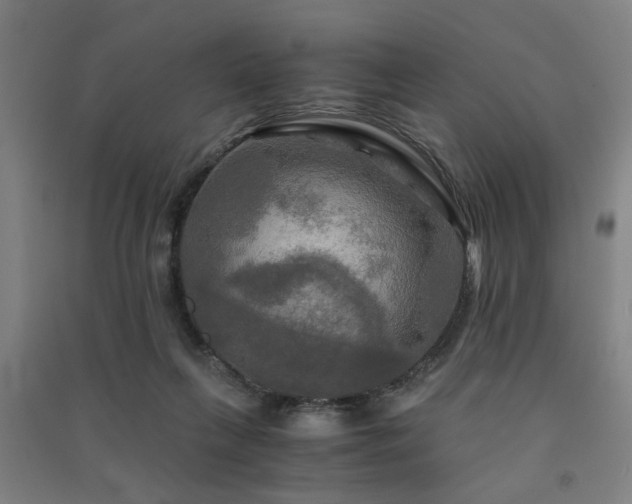 X0000091480263200708161424