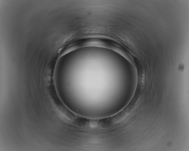 X0000091480264200708161424
