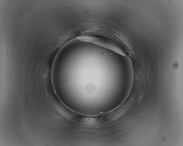 X0000091480265200708161424