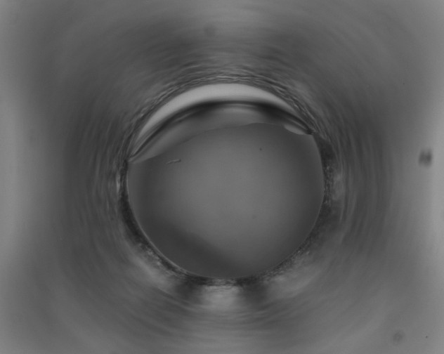 X0000091480266200708161424
