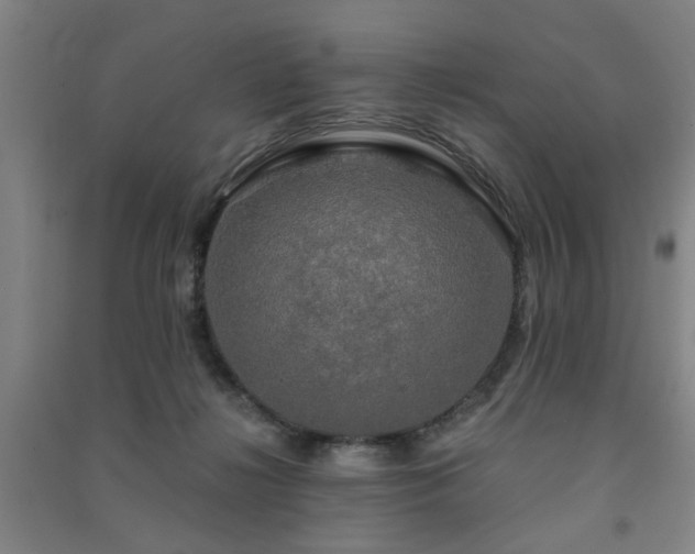 X0000091480268200708161424