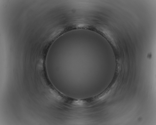 X0000091480269200708161424