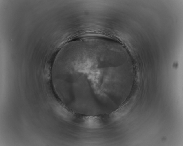 X0000091480273200708161424