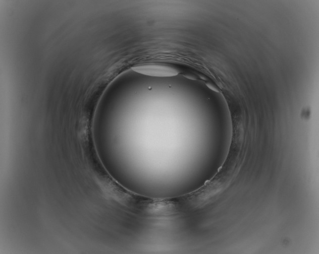 X0000091480274200708161424